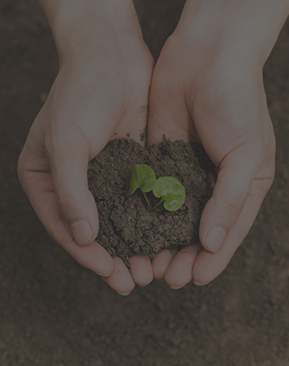 常州佳冠電子有限公司應(yīng)用領(lǐng)域